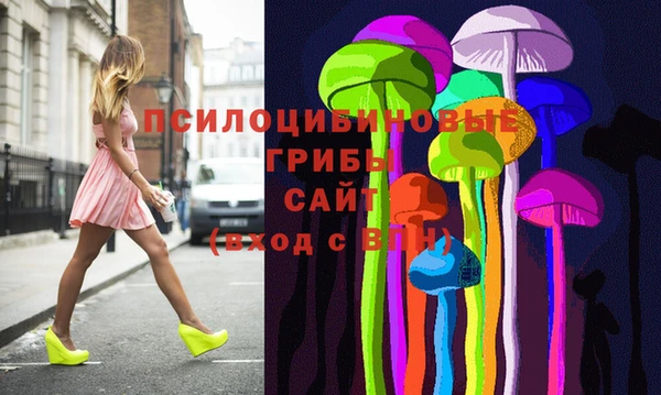 молекула духа Алексин