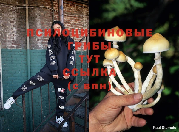 хмурый Абинск